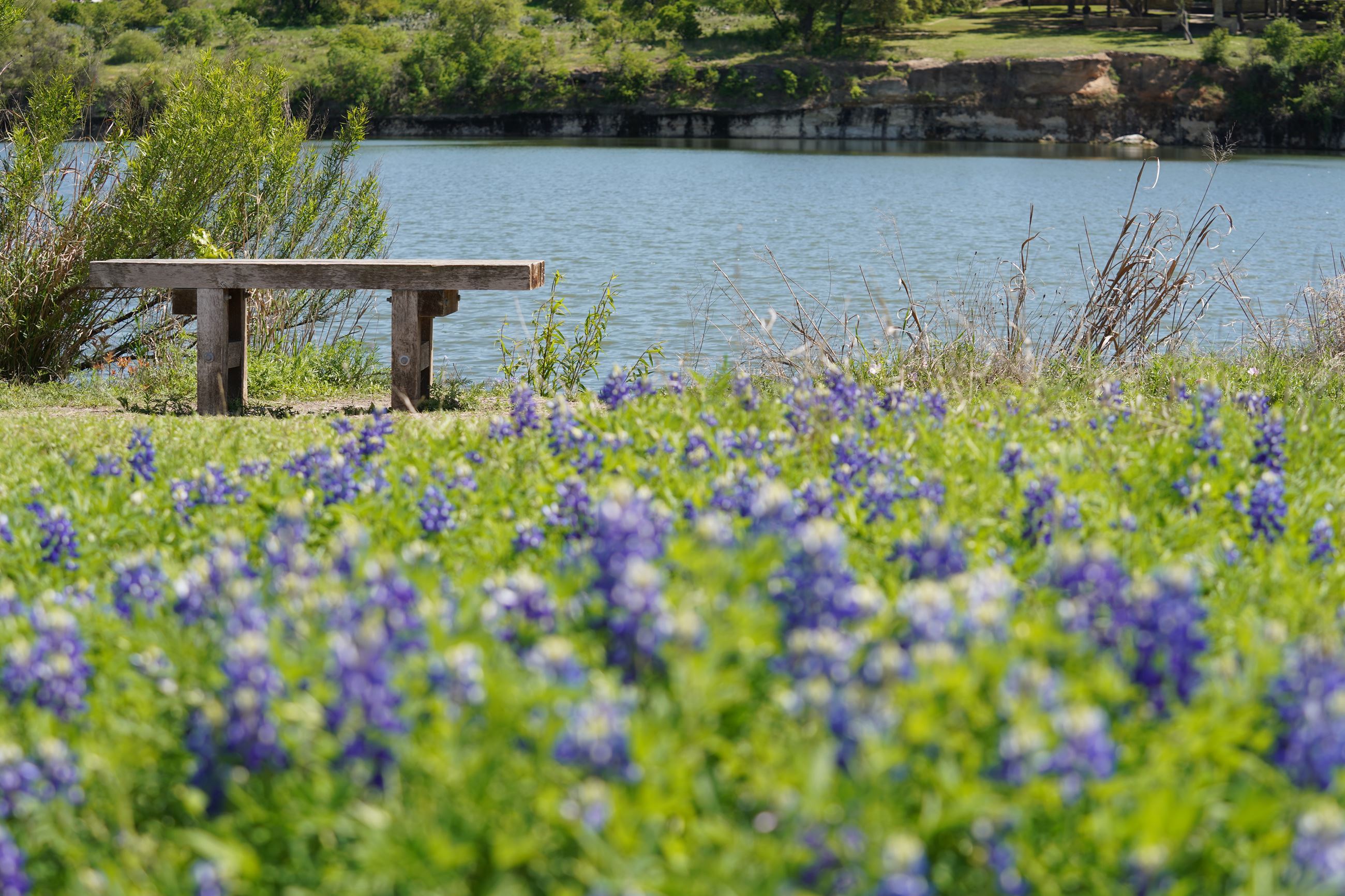 Brushy Creek Trails